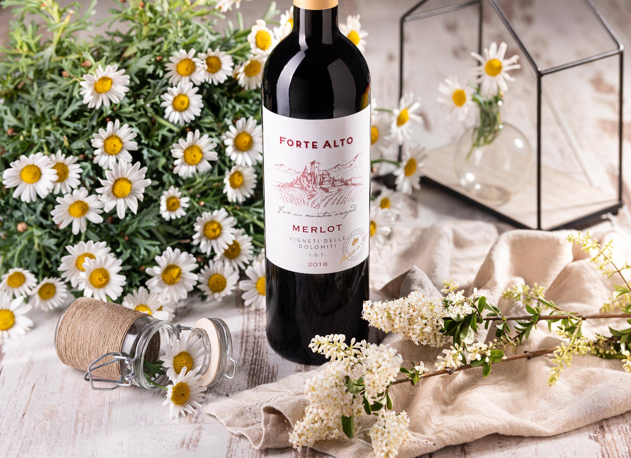 Forte Alto Merlot Ambient