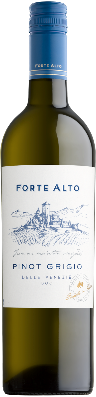 PINOT GRIGIO