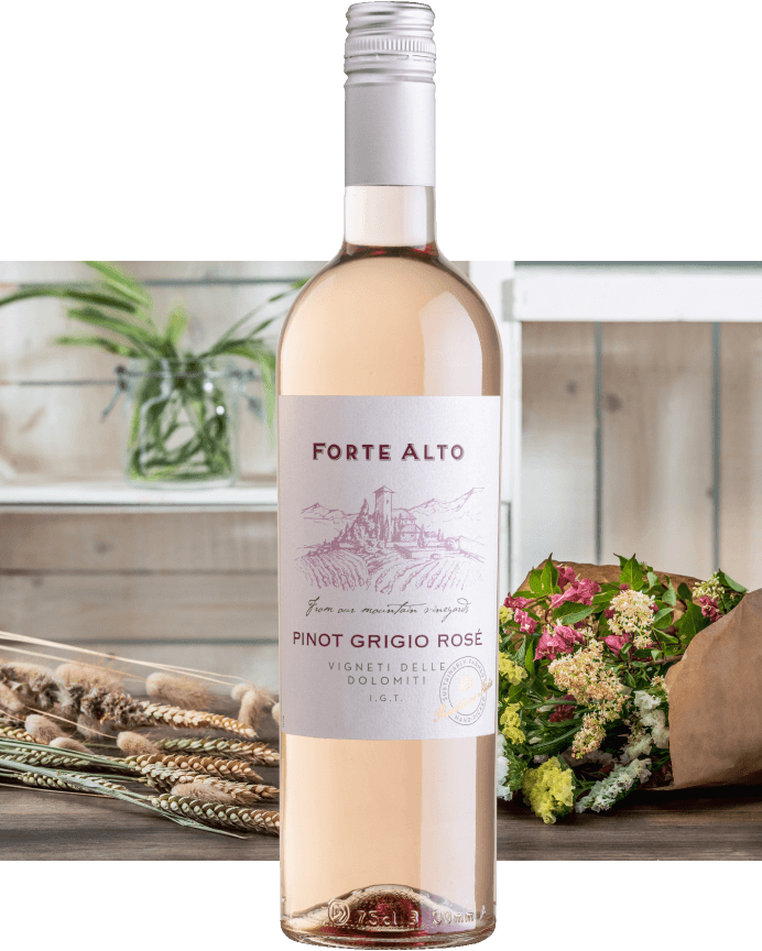 PINOT GRIGIO ROSÉ