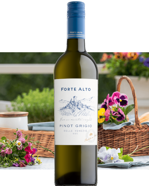 PINOT GRIGIO