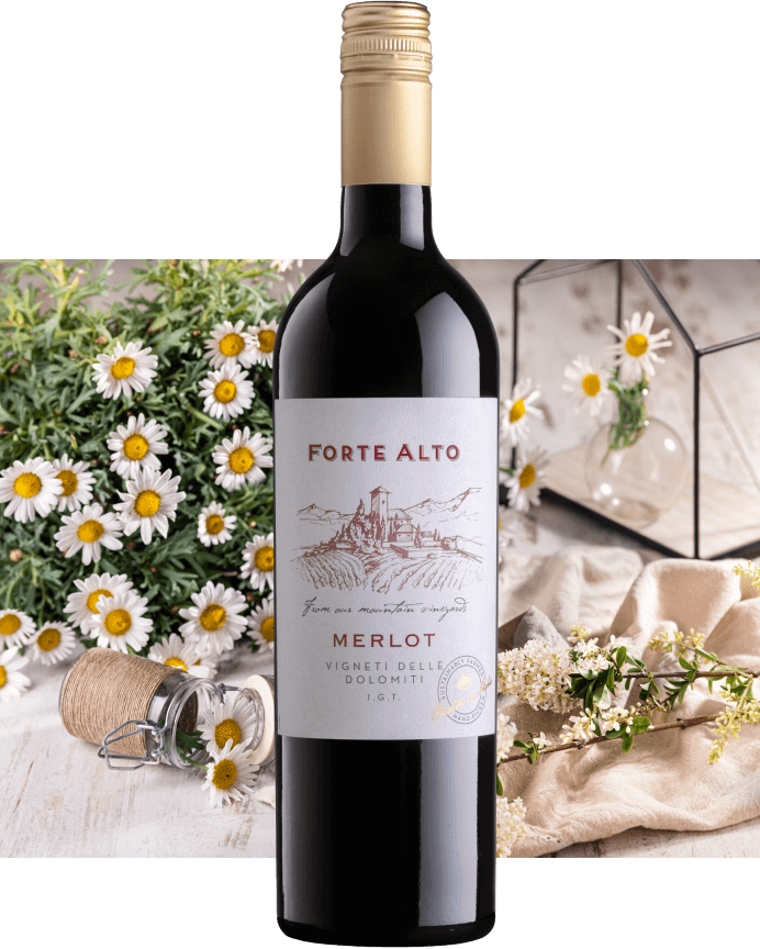 MERLOT